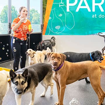 dogtopia pay|dogtopia prices for boarding.